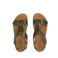 Taos The Show Olive