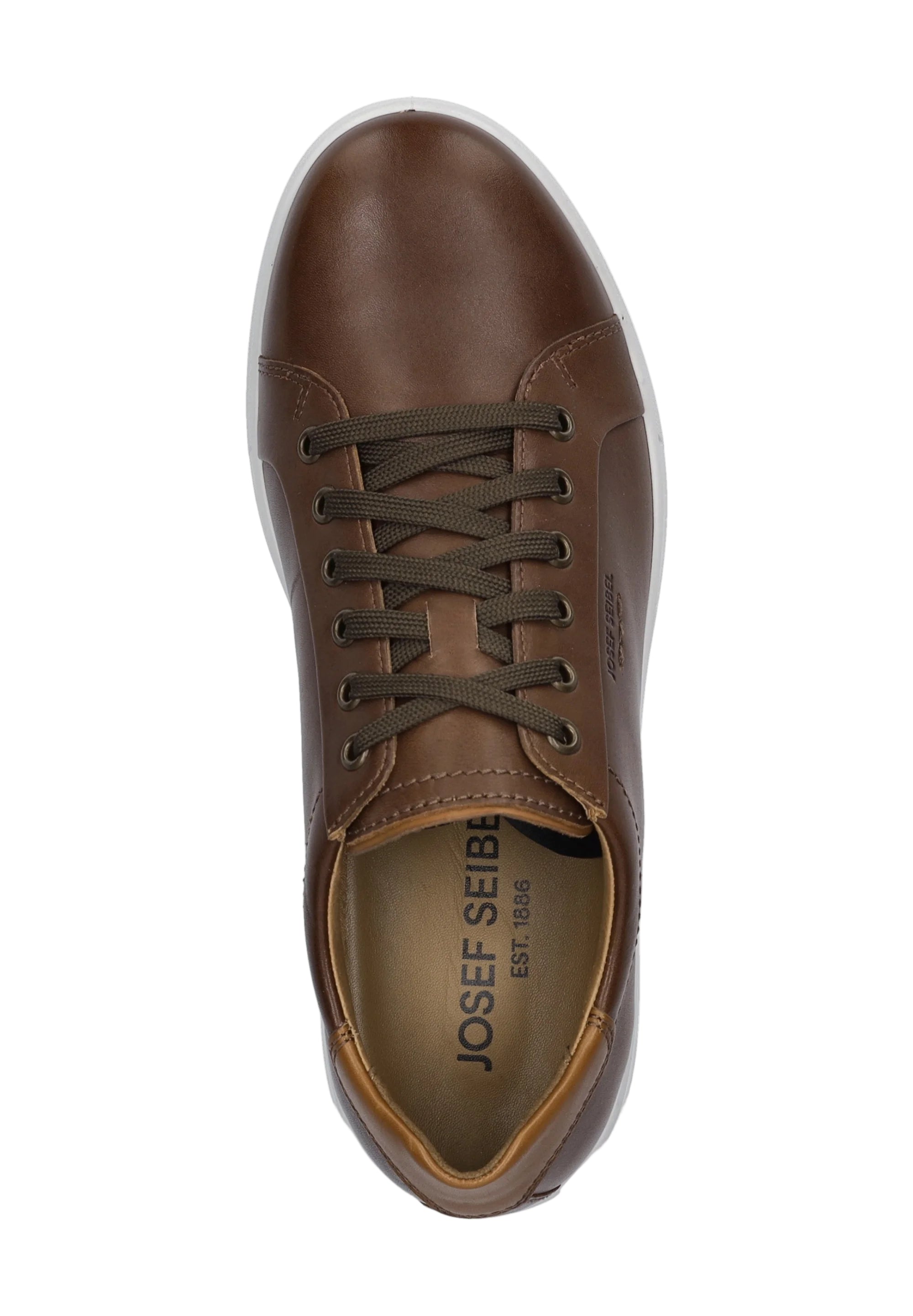Josef Seibel Maddox 05 Mens Castagne