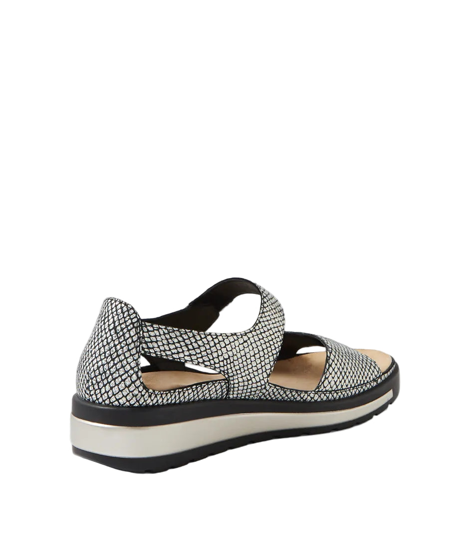 Ziera Gedd Black & Gold Print