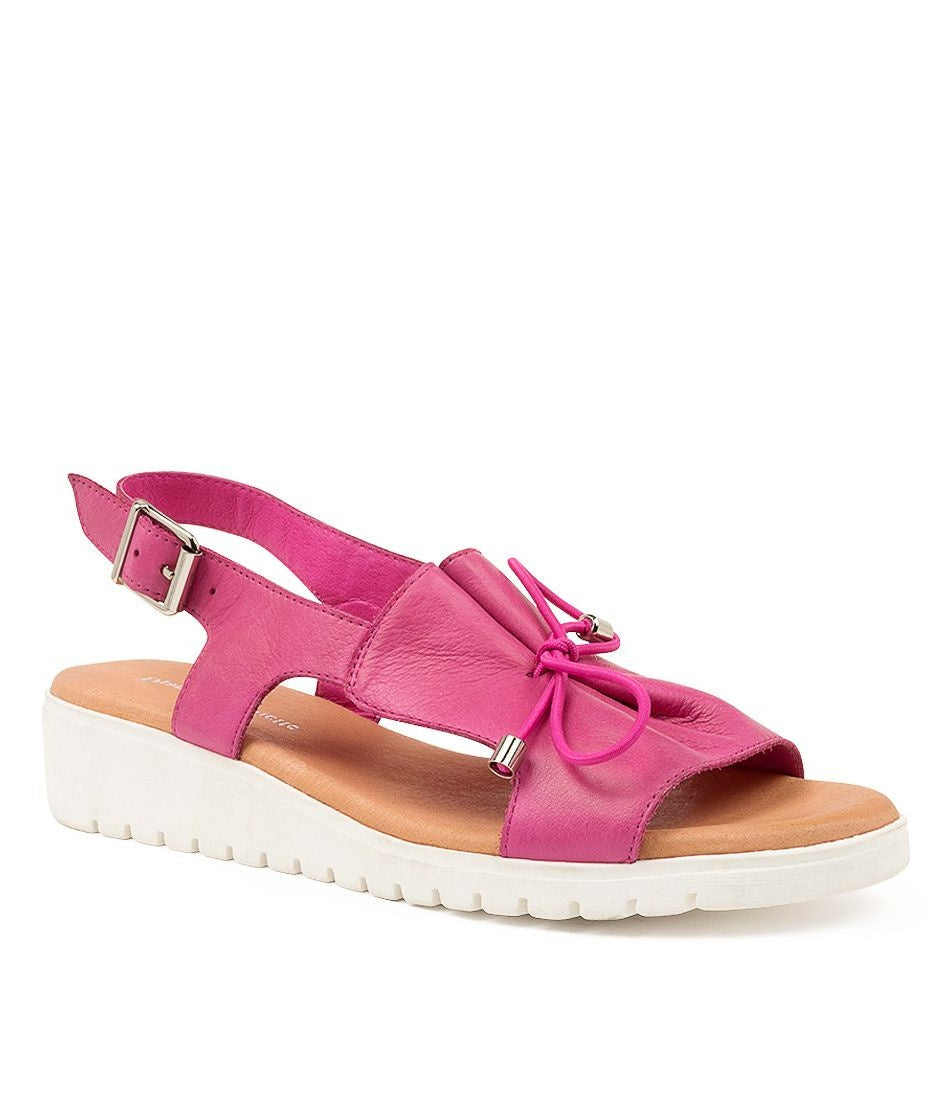 Django & Juliette Malika Fuchsia