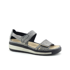 Ziera Gedd Black & Gold Print
