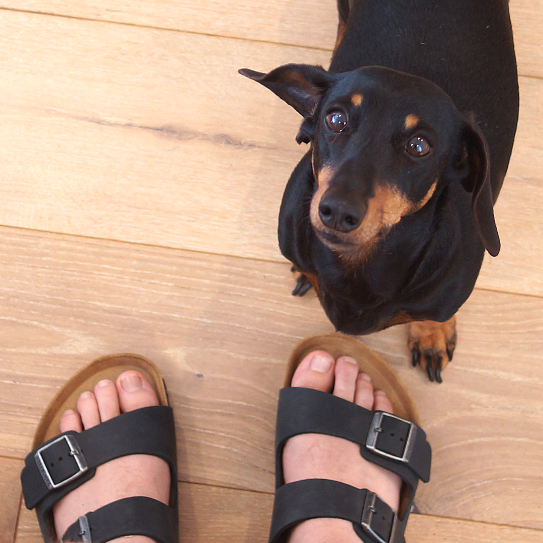 Birkenstock Arizona Oiled Leather Black (Regular)